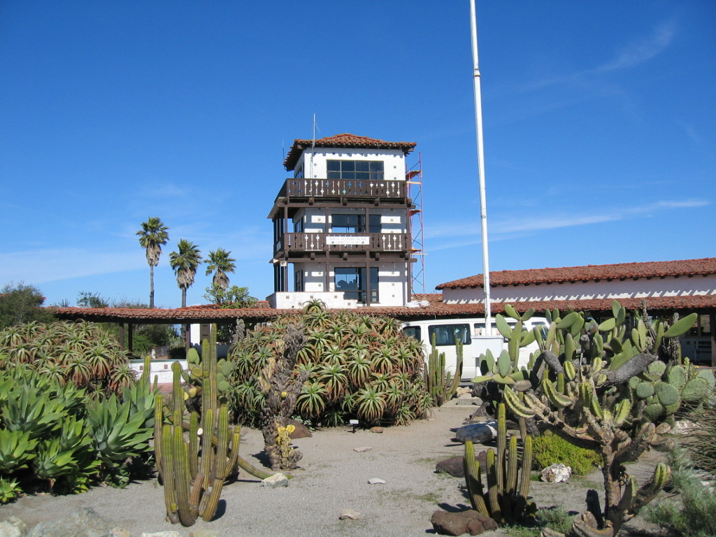 catalina-torre